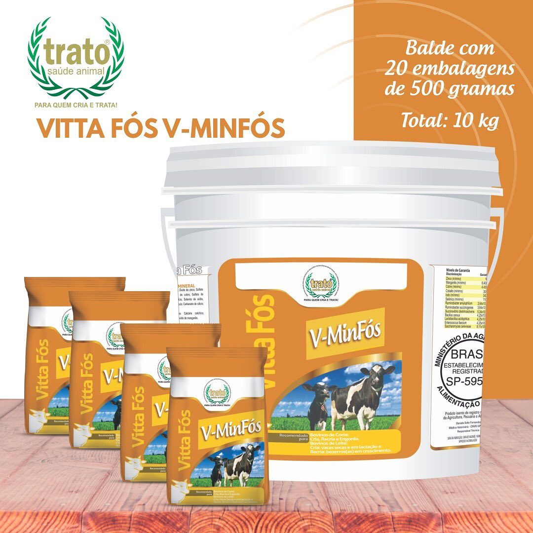 V-MINFÓS