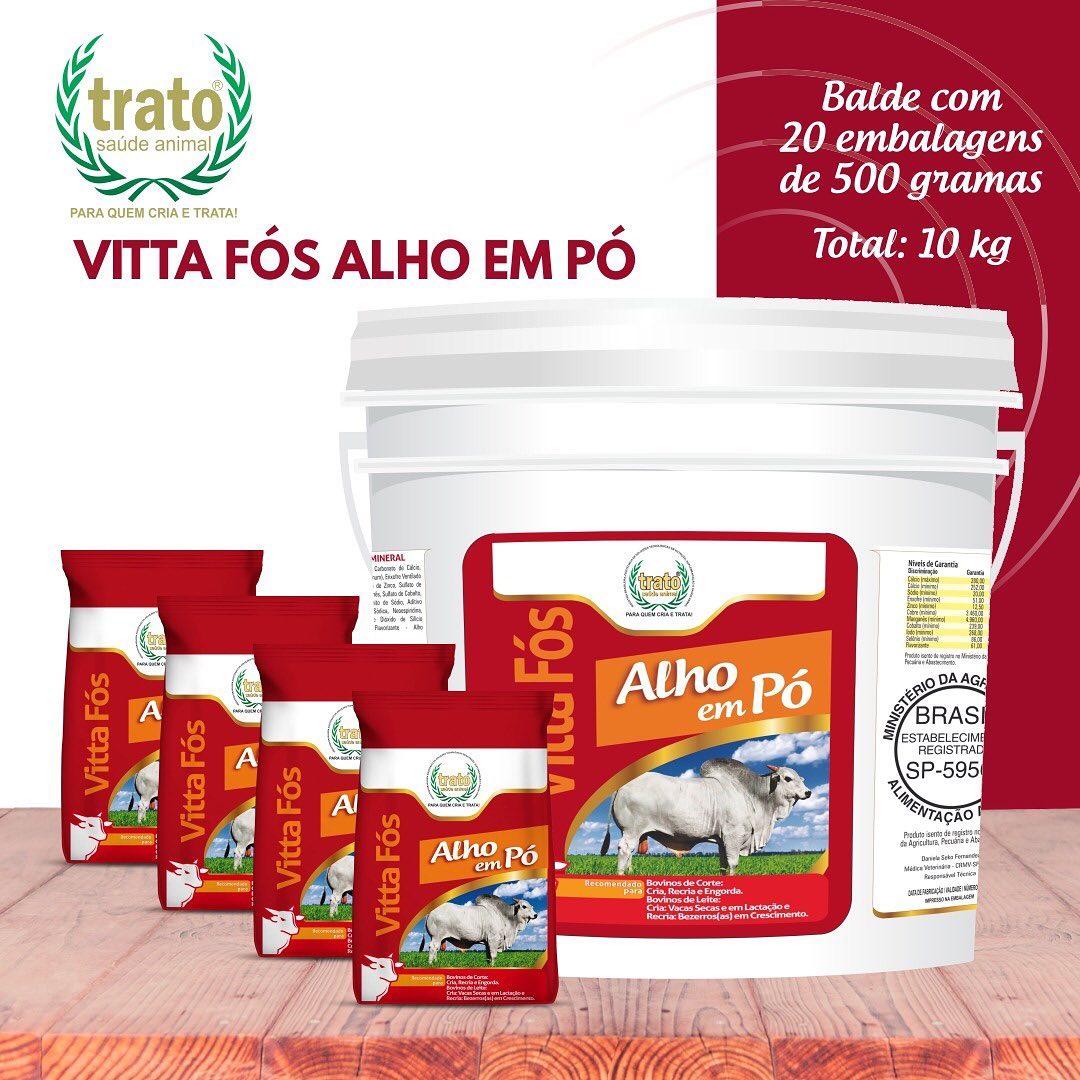 ALHO EM PÓ